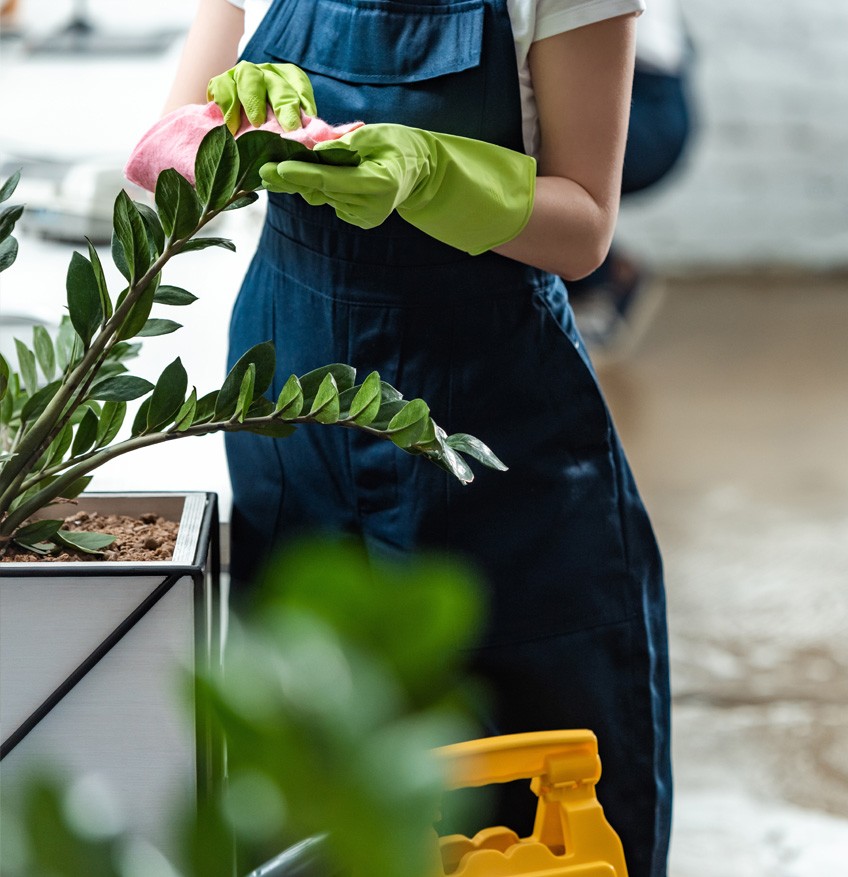 Domant - sprzątanie, dbanie o tereny zielone